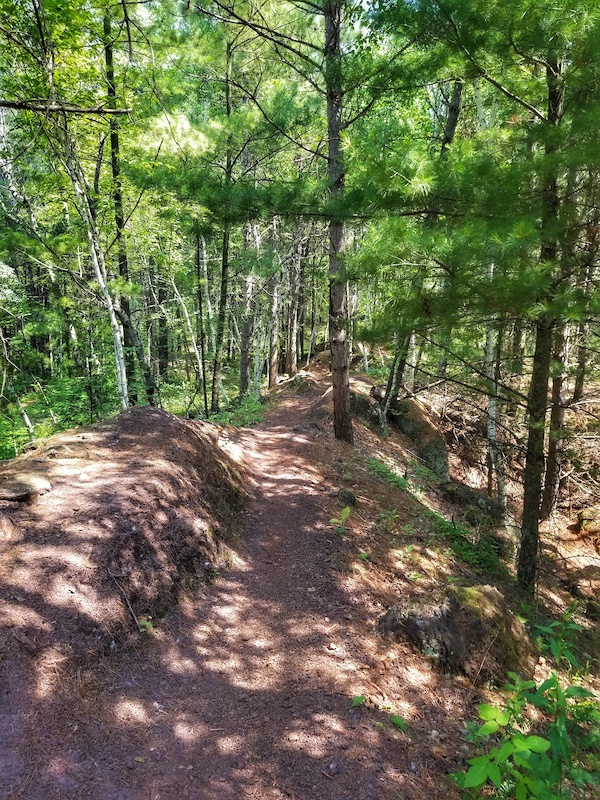 Grizzly Mountain Biking Trail Crosby, Minnesota