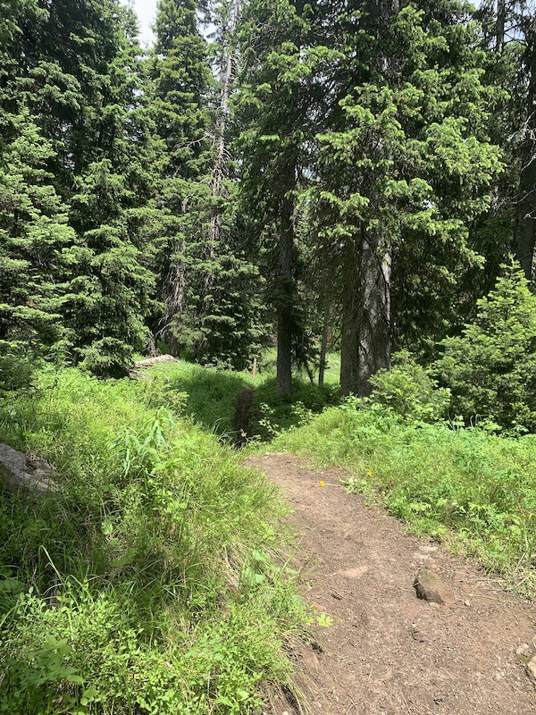 CDT Two Top Multi Trail West Yellowstone, Montana