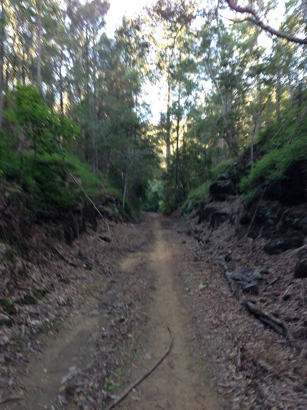 ironbark gully mountain bike trails