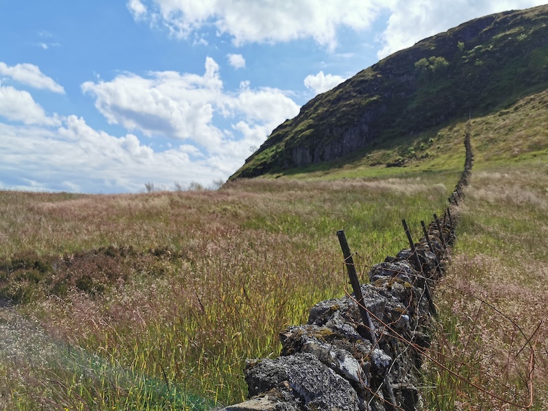 Walkers Path Mountain Biking Trail Glasgow