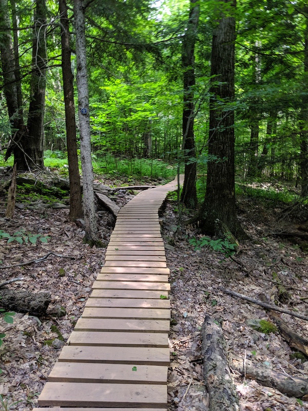 BermOut Mountain Biking Trail Windham, New York
