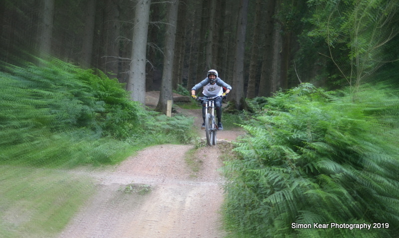 Shots from the Forest of Dean last weekend.