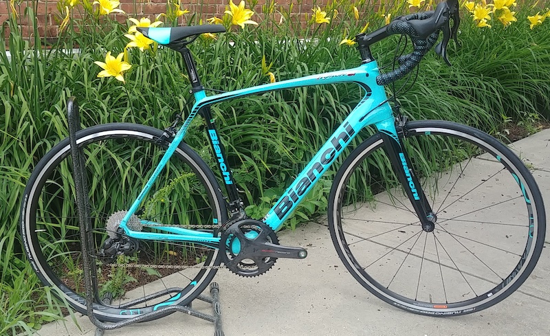 bianchi infinito 2019