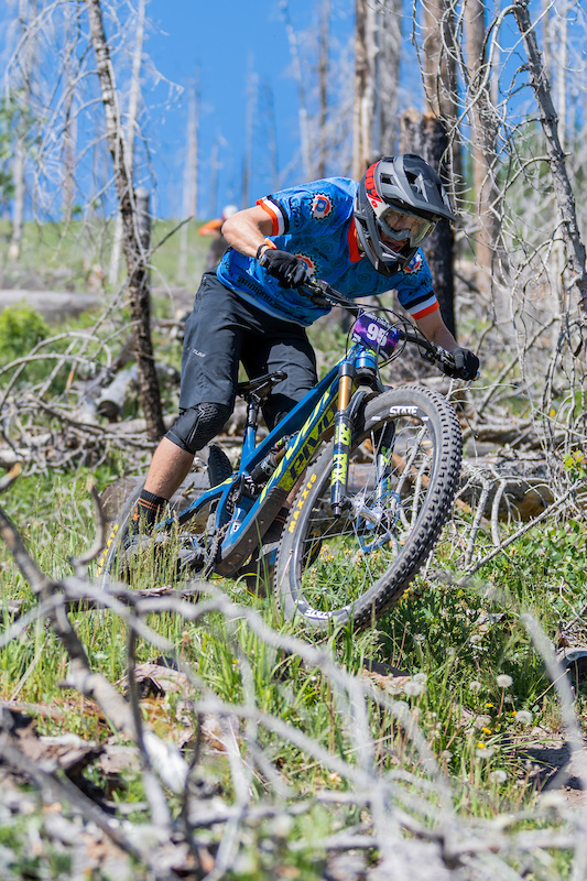 Aspen for Trouble Mountain Biking Trail - Los Alamos