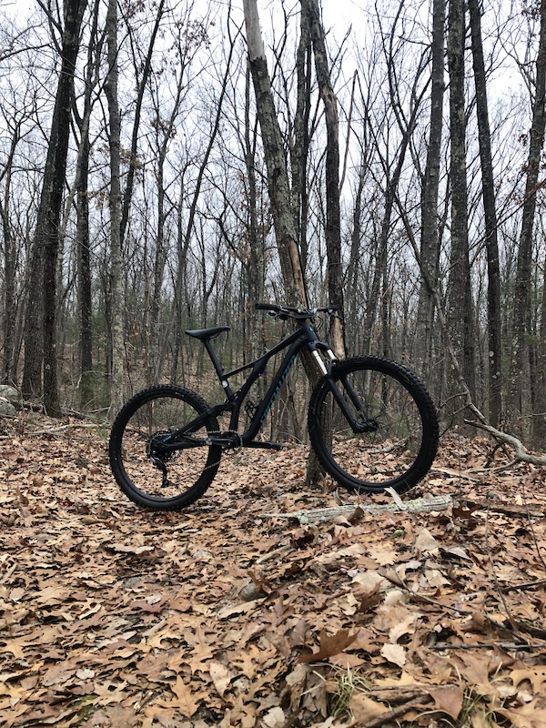 2019 stumpjumper st 27.5