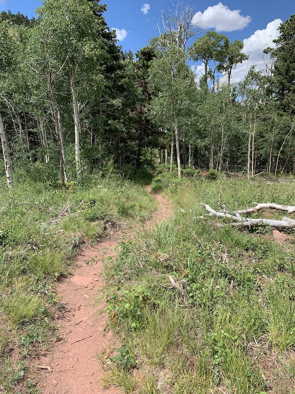 baker creek mountain bike