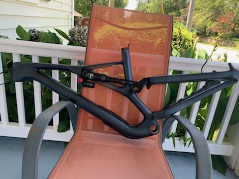 2019 stumpjumper carbon