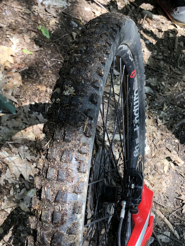 Big Top Mountain Biking Trail Poultney, Vermont