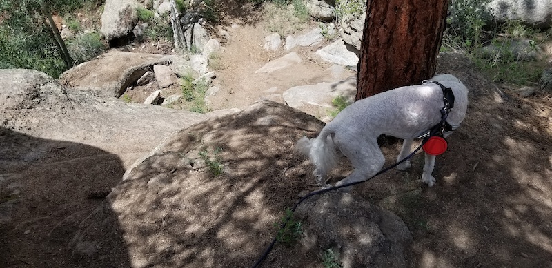 Broken Boyfriend South Mountain Biking Trail Buena Vista