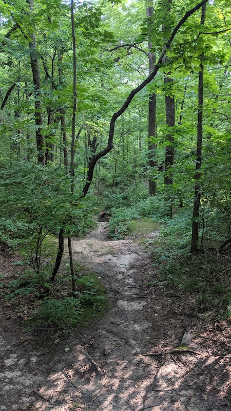 rock cut state park mountain biking