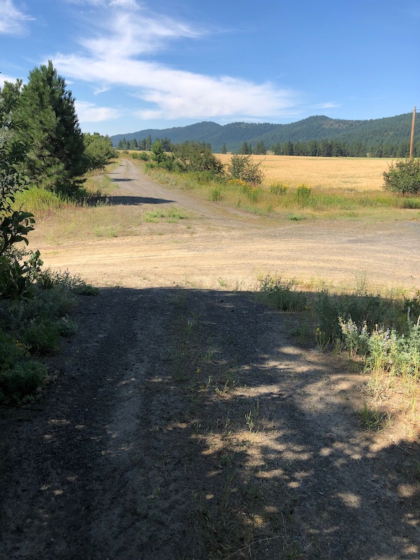 Plummer, Idaho Mountain Biking Trails Trailforks
