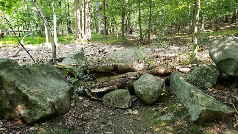 Granite Knolls Park Mountain Biking Trails | Trailforks