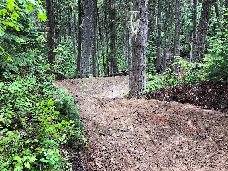 Rockin' The Park Mountain Biking Trail Quesnel, BC