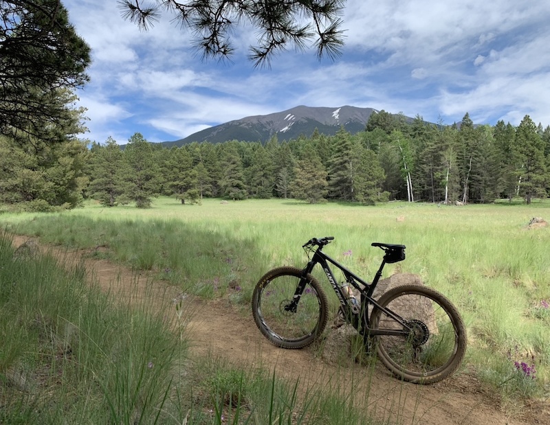 Bismarck Lake Mountain Biking Trail Flagstaff, Arizona