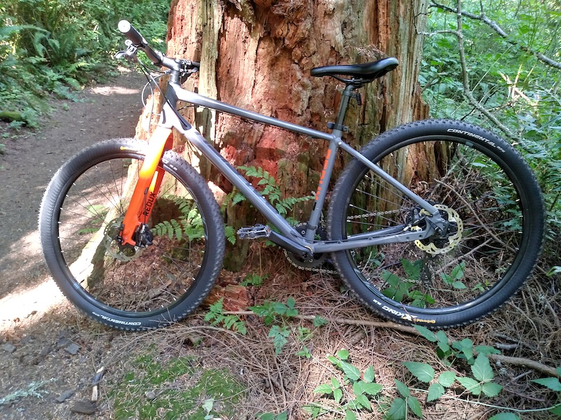 Olympic View Drive Unveiling a Panoramic Masterpiece