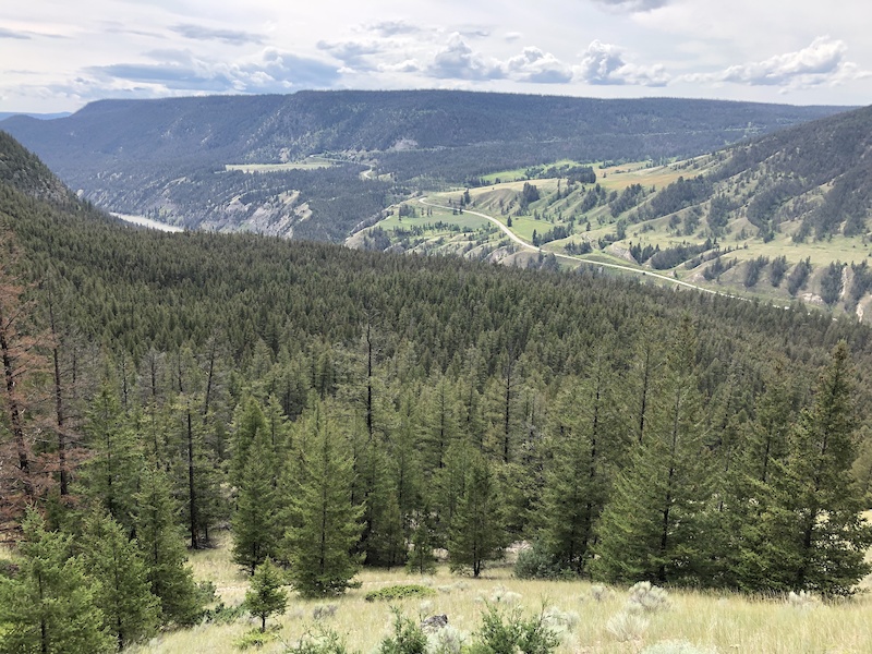 Shiney Badger Mountain Biking Trail - Williams Lake