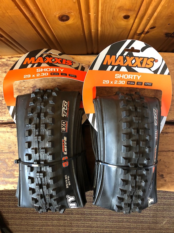 maxxis shorty dh