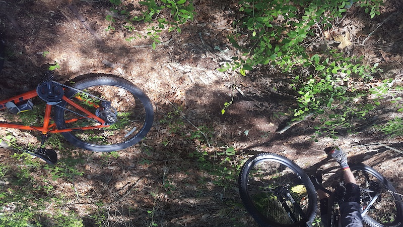 Cathedral pines mountain bike clearance trail