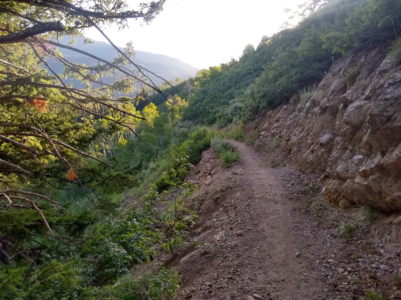 are bikes allowed on dog lake trail millcreek canyon