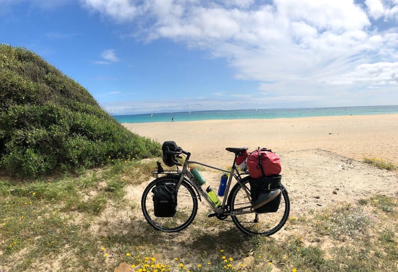 2019 TREK 920 For Sale
