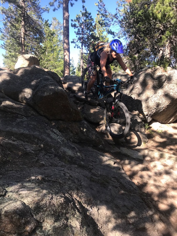 Re Root Mountain Biking Trail Nederland Colorado