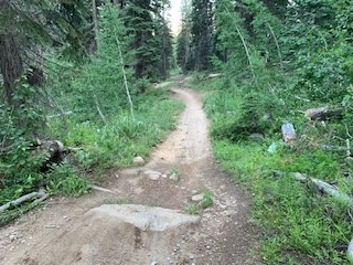Looking down towards Incline Flume after clearing tree hazard
