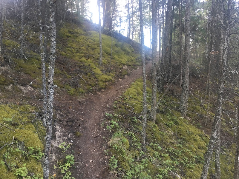 Old Coach Trail Multi Trail - Radium Hot Springs, BC