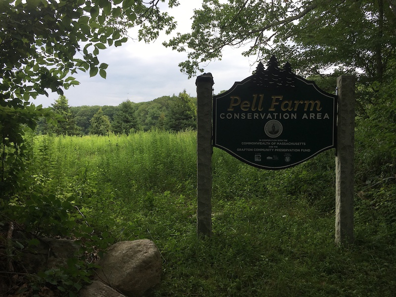 Tannenbaum Multi Trail Grafton, Massachusetts