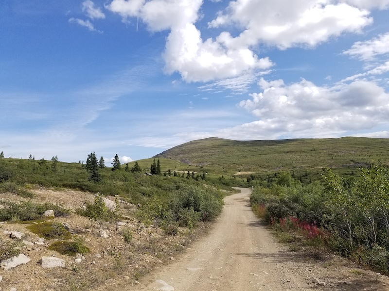 McIntyre Road (McIntyre Descent) Multi Trail Whitehorse
