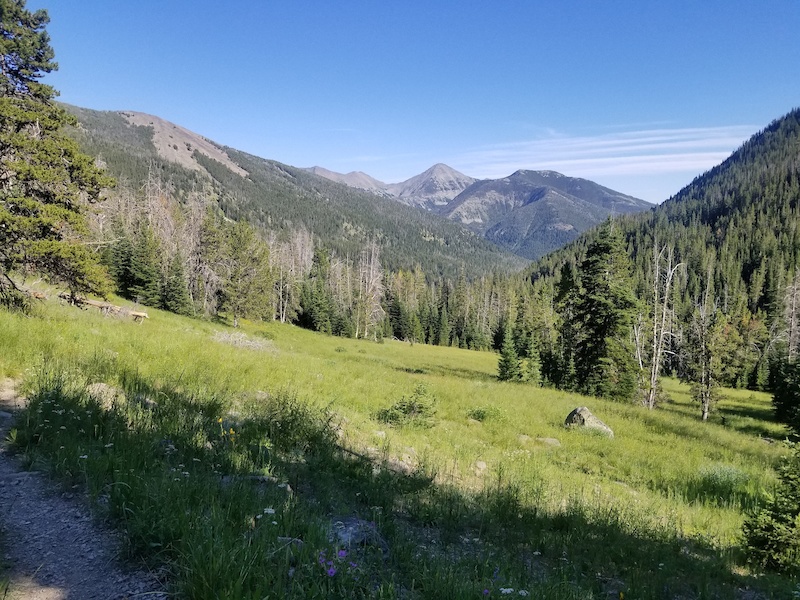 Trespass Mountain Biking Trail - Livingston, Montana