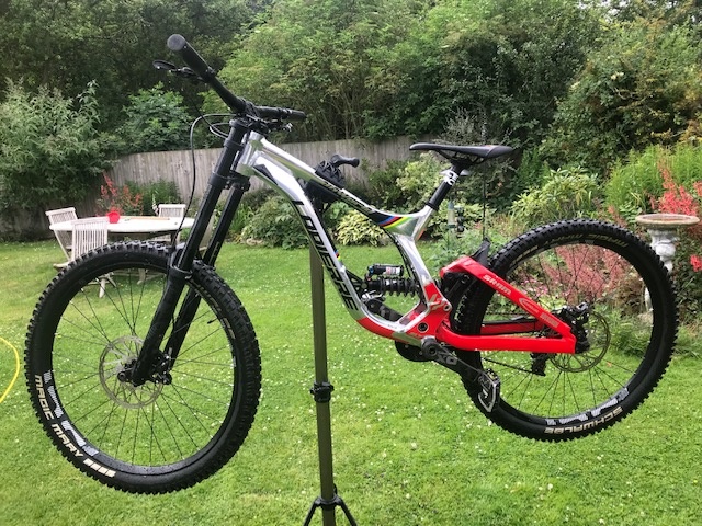 lapierre dh world champion