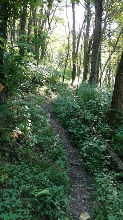 Kim Trail