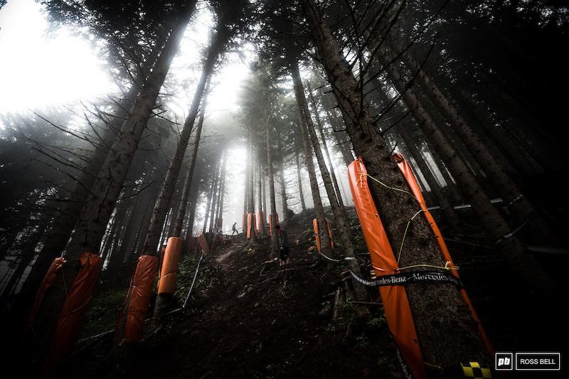 There's a fresh section in the woods which looks steep and super slick, it'll be carnage in there tomorrow morning.