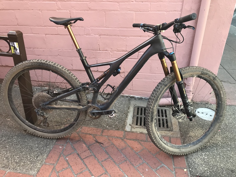 2019 specialized stumpjumper s works