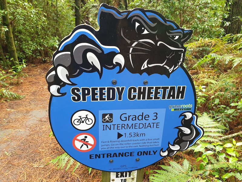 Maungatautari Road Mountain Biking Trail Tokoroa