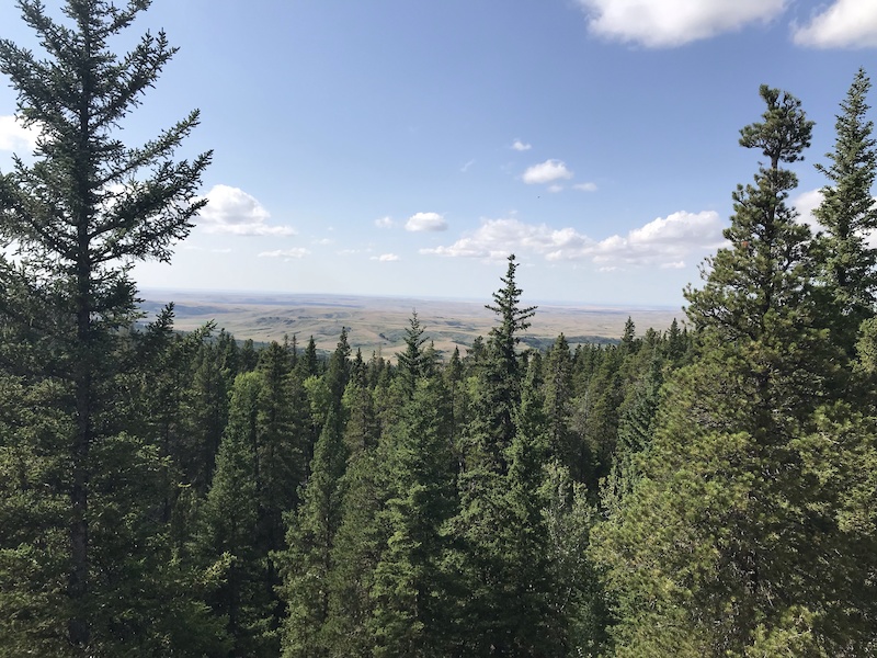 Horseshoe Canyon Trail Multi Trail Elkwater, Alberta