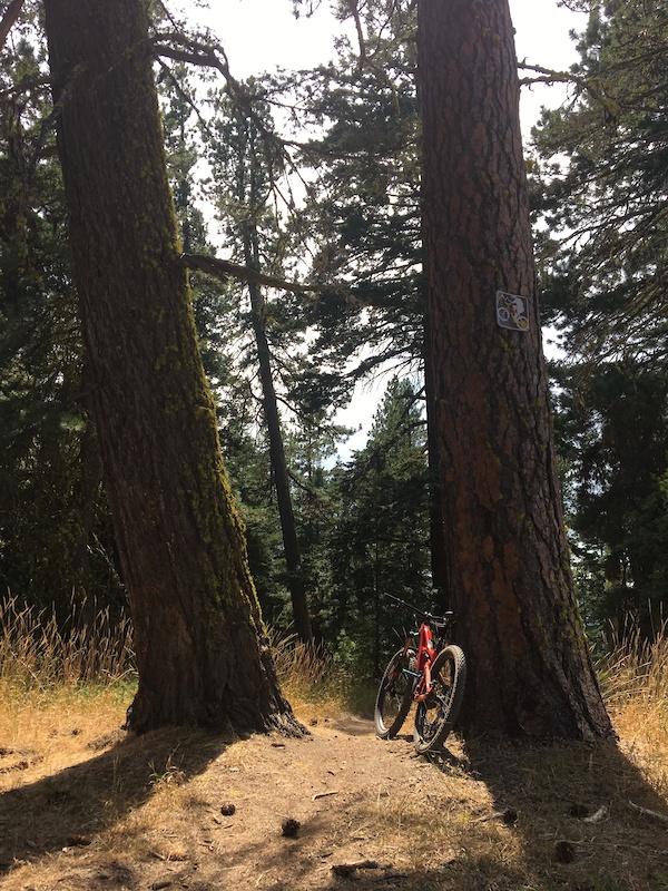 Rat Pac (Climb) Multi Trail Roslyn, Washington