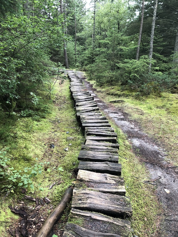 mtb trails denmark