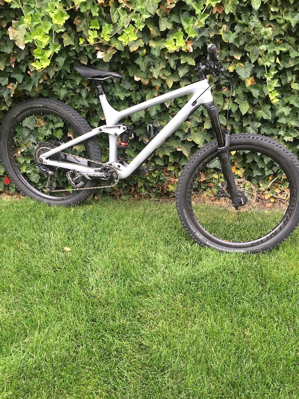 trek remedy 9 2019