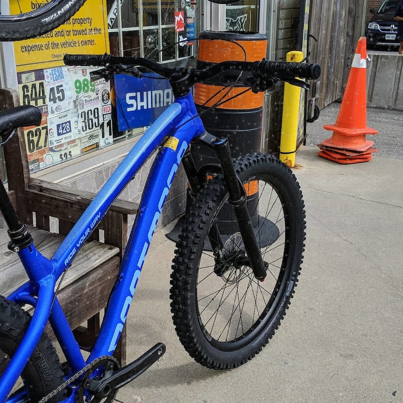 dartmoor hornet pro 2020