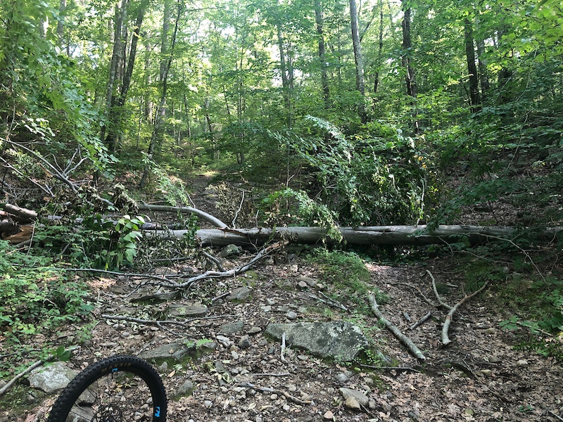 Hearthside Multi Trail Upton, Massachusetts