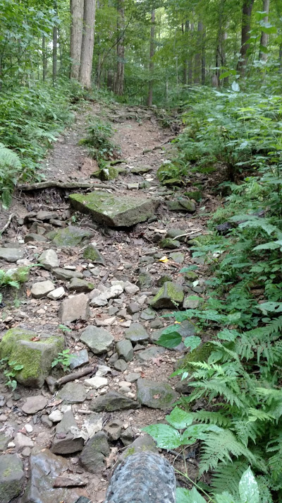 Grove Run Trail Multi Trail - Ligonier, Pennsylvania