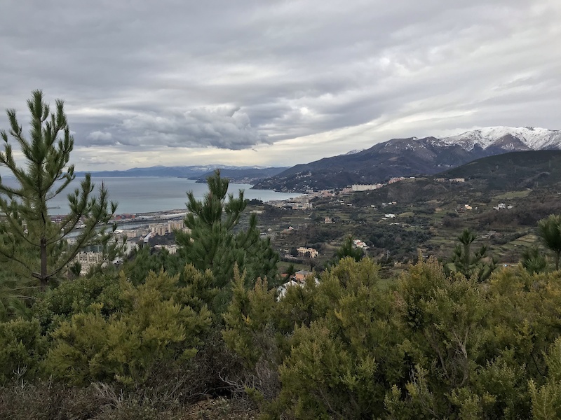 Discesa da fossa del lupo Mountain Biking Trail - Genova