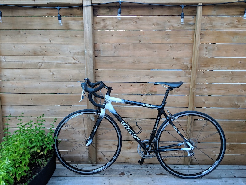 2006 giant store tcr limited