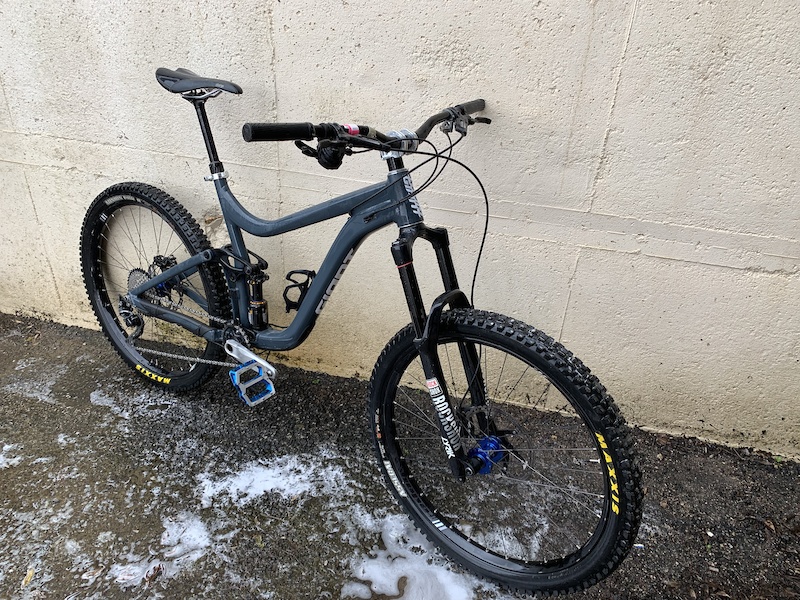 giant reign custom paint