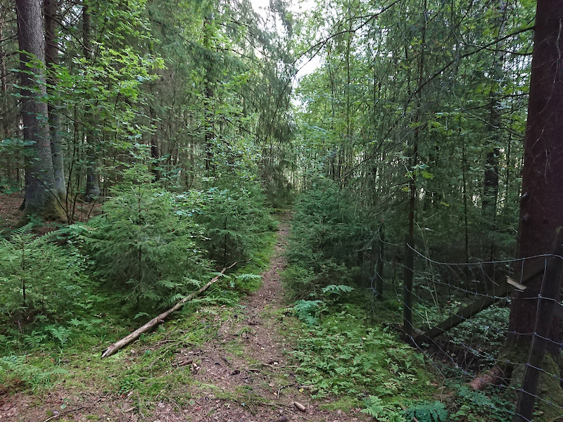 Walcott, North Dakota Mountain Biking Trails Trailforks
