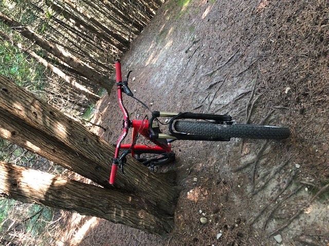Love riding Allan Park. Not an abundance of trails, but a great workout, with some tough inclines and some great declines as well.