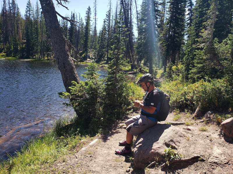 East Shingle Creek lake & South Erickson Lake Mountain Biking Route Trailforks