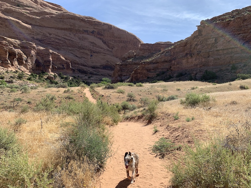 Mill Creek, Right Hand Hiking Trail Moab, UT