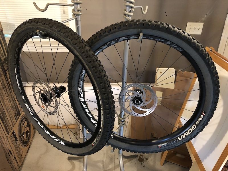 vittoria morsa 27.5